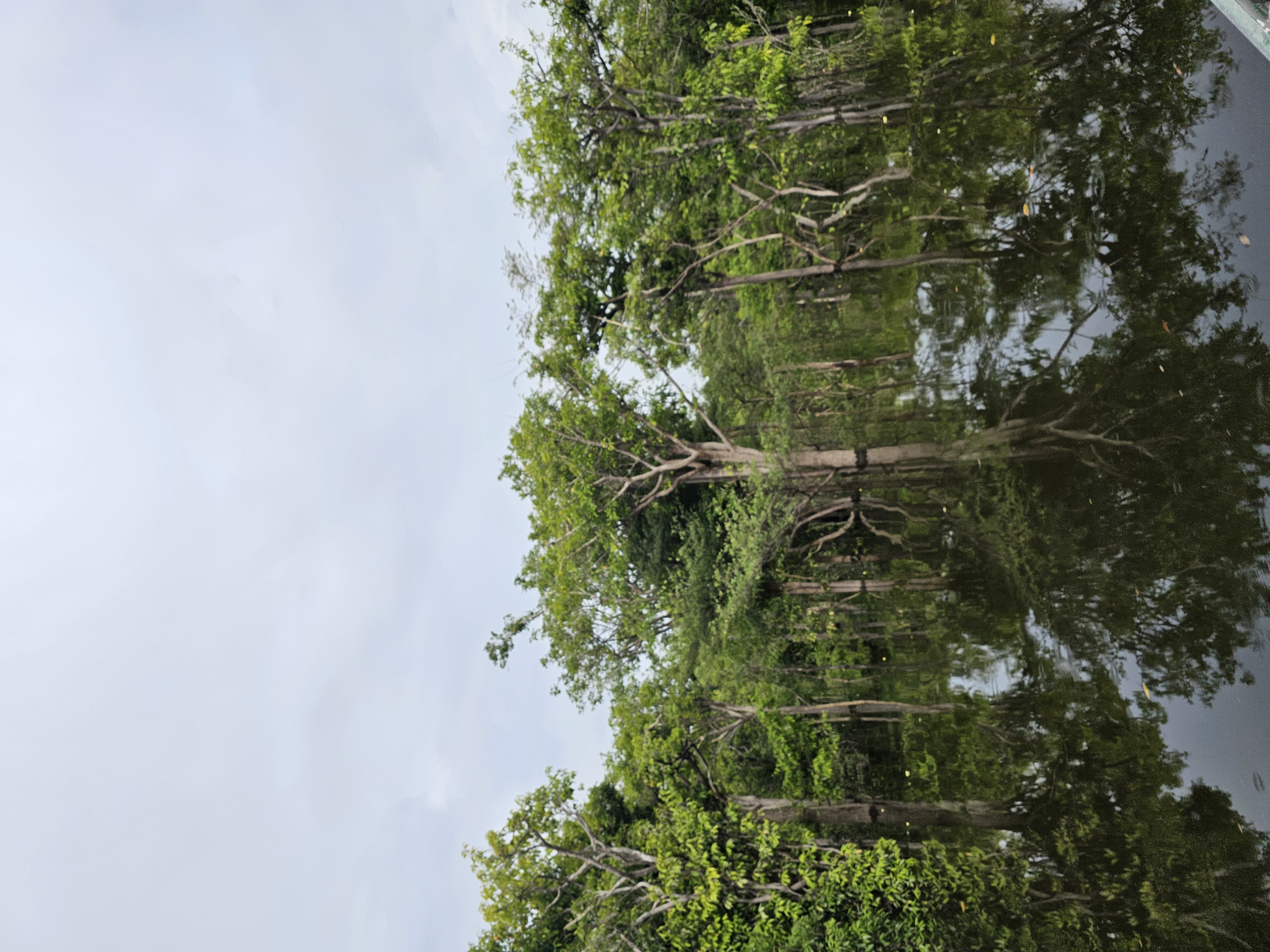 Experiência na Amazônia